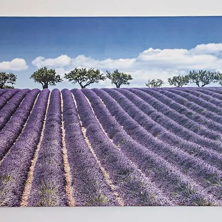 Nincevic, Kanica Apartmán