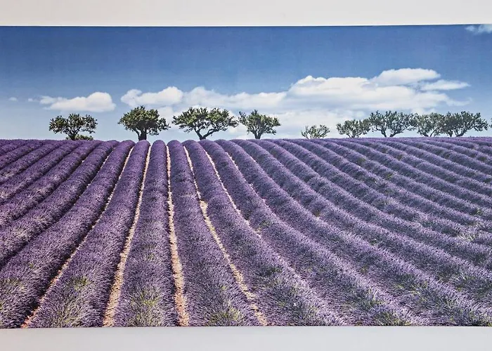 Nincevic, Kanica Apartment